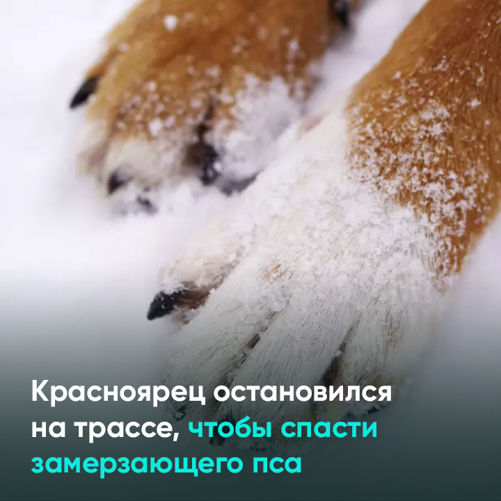 Как спас замерзающего