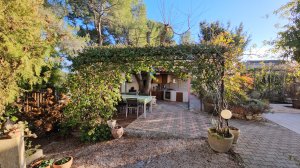 СПЛОШНЫЕ ЗАБОТЫ. В ЭТОТ РАЗ СПАСАЕМ ЯБЛОНЬКИ!