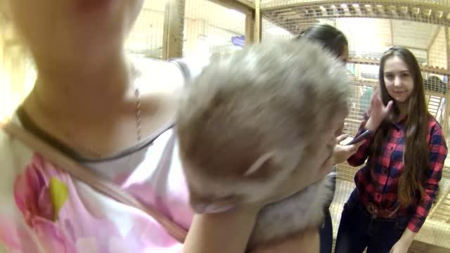 VLOG The Beast [23]Страна енотия смотреть онлайн