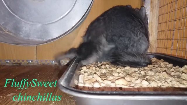 Белль РОДИЛА!!! ??? смотреть онлайн