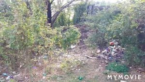 22.10.2020. Водоохранная зона,река Журавка в станице Выселки. Экологическая катастрофа.