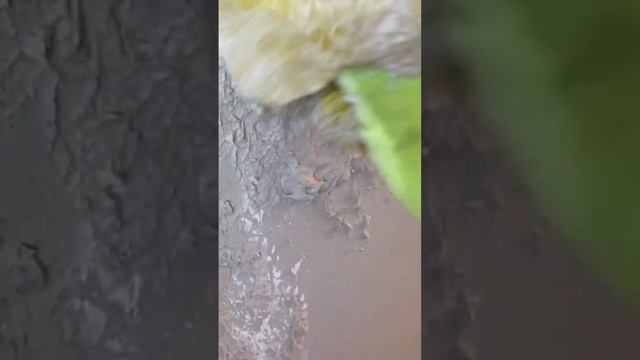 Декоративная штукатурка своими руками смотреть онлайн