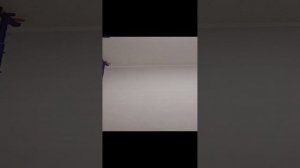 информатика