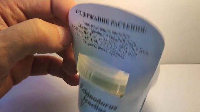 Живое аквариумное растение Эхинодорус Нежный меристемное смотреть онлайн