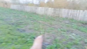 Установка капельного полива на 230 кустов смородины .