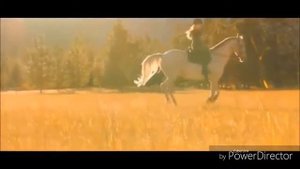 Клип про конный спорт