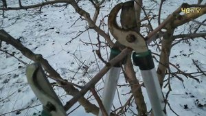 СУЧКОРЕЗ GARDENA EasyCut 12002 с короткими ручками. ИГРУШКА или ВЕЩЬ?
