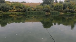 Уловистые Воблеры Косят Осеннюю Щуку на Дону