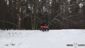 Электроквадроцикл МС 245, Внедорожный электрический квадроцикл, тест драйв зимой в лесу