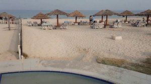 ОАЭ - 2023. Отель Lou'Lou a beach resort Sharjah. Утренний КВЕСТ - займи лежак с зонтиком! #loulou
