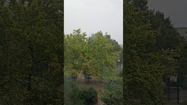Аутогенная тренировка и аллат.