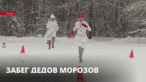 Гатчина присоединилась к международной череде забегов Дедов Морозов