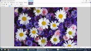 Как настроить размер изображения без потери качества. Paint.net