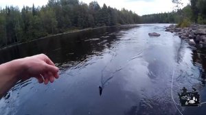 Нахлыст