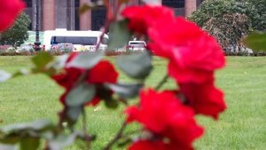 Olympus OM-D E-M1 -- пример видеосъемки