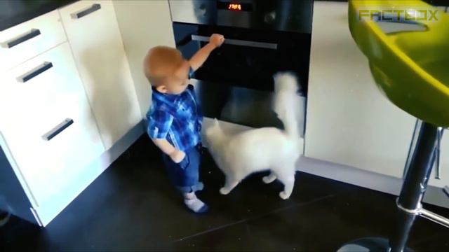 Вот Кто НАСТОЯЩИЕ ГЕРОИ! Топ 20 Случаев Героического Поведения Животных смотреть онлайн