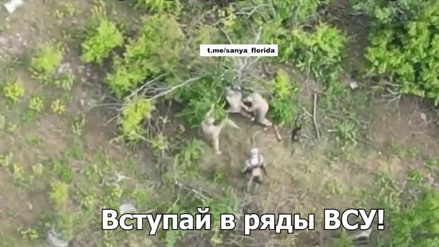Военнослужащие ВСУ.