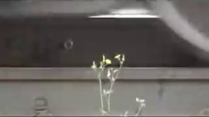 Крушение поезда на перегоне Ерал - Симская