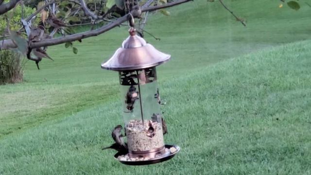 Делайте больше благих деяний, даже если они кажутся вам маленькими на первый взгляд смотреть онлайн