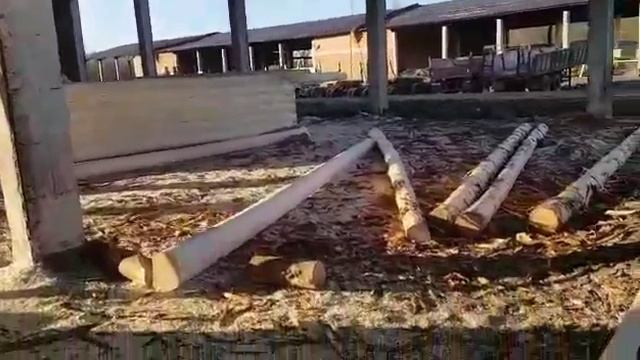 Сруб 7х8 + 2м под террасу. Рубка в лапу, кругляк - СмолДом. Срубы из Велижа смотреть онлайн