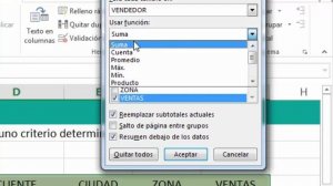 Excel Subtotales, aplicando la opción de subtotales en Excel