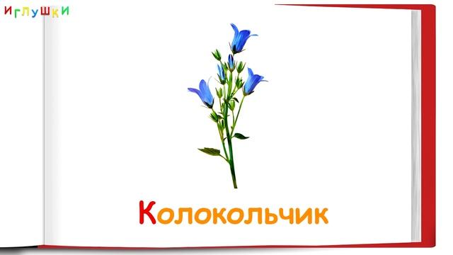 [ УЧИМ ЦВЕТЫ, РАСТЕНИЯ для ДЕТЕЙ ] ОБУЧАЮЩИЙ мультик для ДЕТЕЙ про ЦВЕТЫ, РАСТЕНИЯ. Учим цветы
