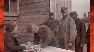 Признание: Немецкие военнопленные рассказали всё когда вернулись из СССР