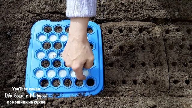 СУПЕР ПРИСПОСОБА ПОСЕВ МОРКОВИ БЕЗ ПРОРЕЖИВАНИЯ смотреть онлайн