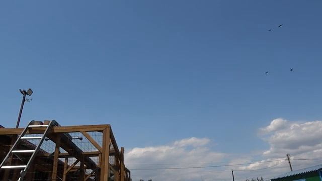 Очаковский голубедром. Тренировка голубей 19.07.2019 смотреть онлайн