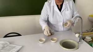 Химия. Растворимость спиртов в воде, горение спиртов, качественные реакции