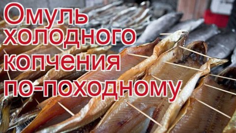 Рецепты из омуля - как приготовить омуля пошаговый рецепт - Омуль холодного копчения по-походному