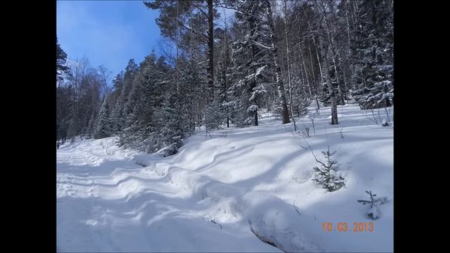 Красноярский заповедник "Столбы".