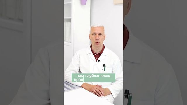 Укусил клещ, что делать❓ смотреть онлайн