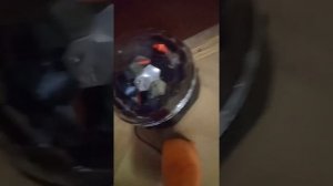 басики празднуют Новый год???