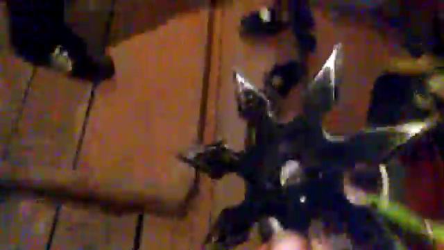 напугали кошку смотреть онлайн