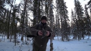 ОХОТА НА БОРОВУЮ ДИЧЬ В ГЛУХОЗИМЬЕ / ПОХОД В ТАЙГУ НА ЛЫЖАХ / ТРУДОВАЯ ОХОТА.