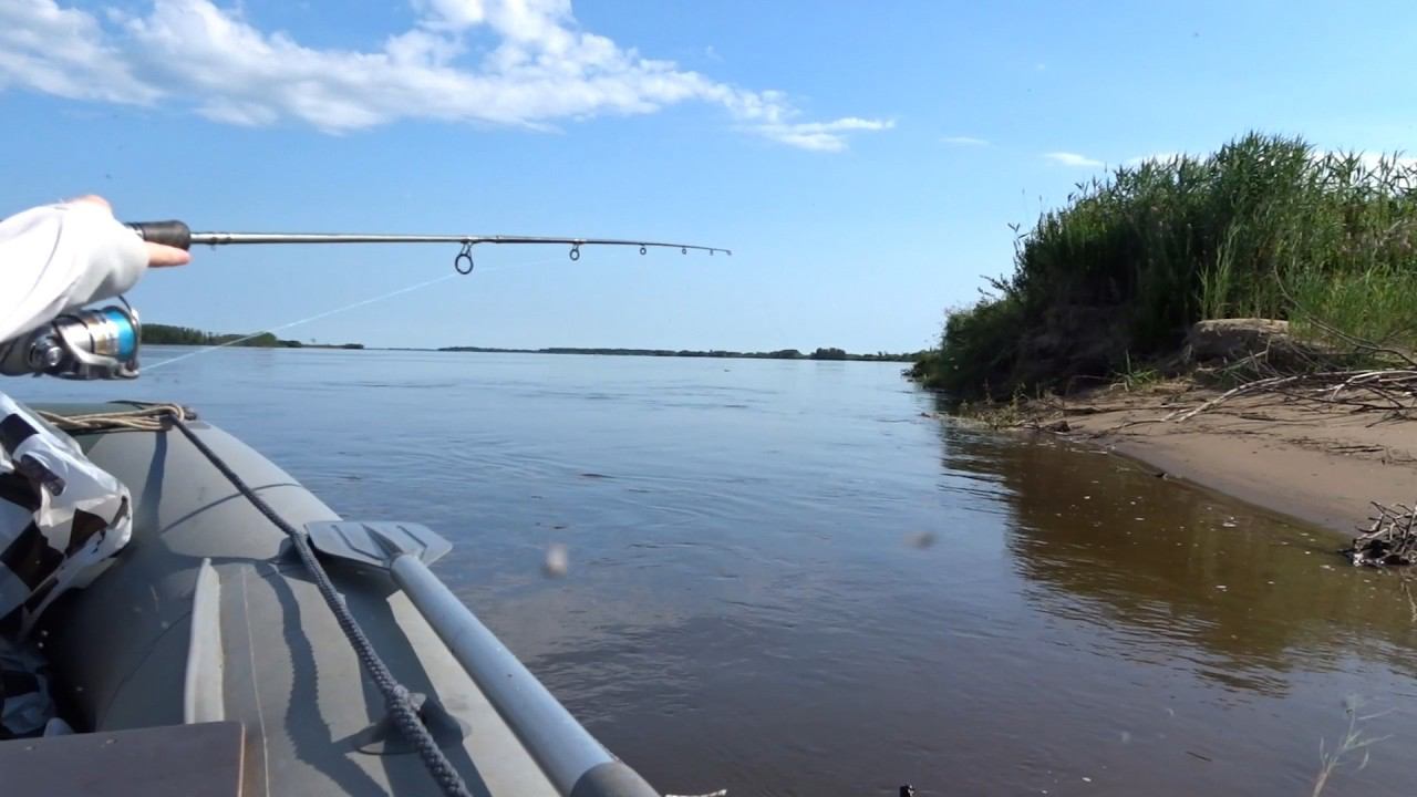 В первый раз на рыбалке. Желтощёк Краснопёр Верхогляд. Рыбалка на спиннинг Дальний Восток Амур смотреть онлайн