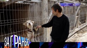 «За гранью»: «Вой раздора» | Выпуск от 28 сентября 2022 года