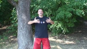 Целебная сила деревьев часть1