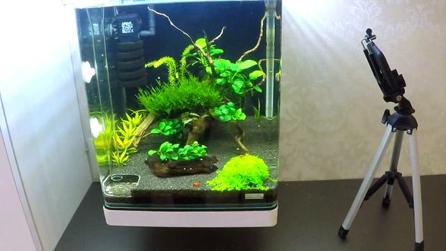 Лучший таймер света в аквариум без расветов и закатов . Камера sonoff , реле sonoff смотреть онлайн