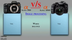 Sony Alpha 700 vs Sony Alpha 3000