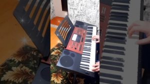 Europe - The Final Countdown на синтезаторе CASIO CTK-6250 (не оригинал, любительская)