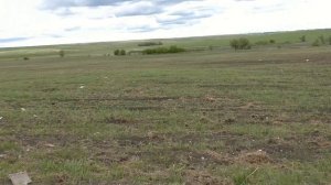 В ПОГОНЮ ЗА МЕЧТОЙ - ЗА КЛАДОМ !