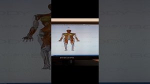 20231020_101652.mp4