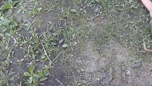 Фиат Албеа замена резонатора (часть 2)