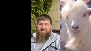 Кадыров запел "Имперский дон-дон"