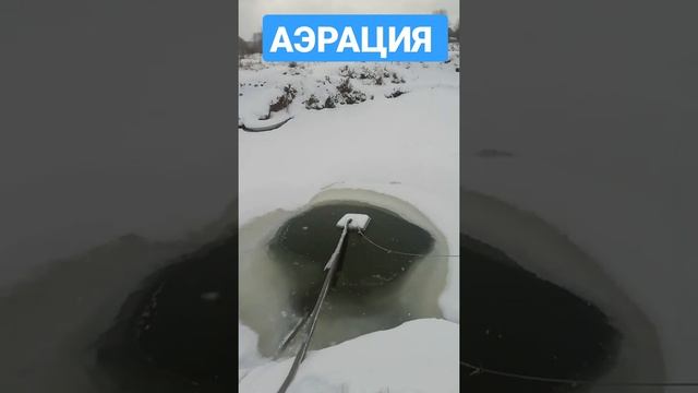 Аэрация в своём дачном пруду с рыбой работает хорошо |#Shorts Свой пруд на участке зимой