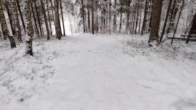Зимняя сказка на Зубце #лыжныегонки #трассазубец