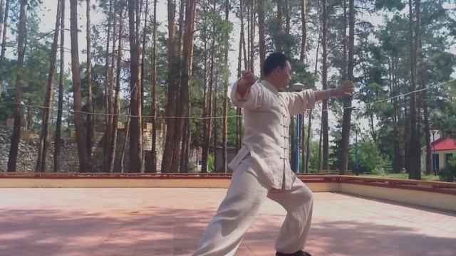 Мастер Ван Лин (семинар - Самара 3 июня 2012 год) смотреть онлайн