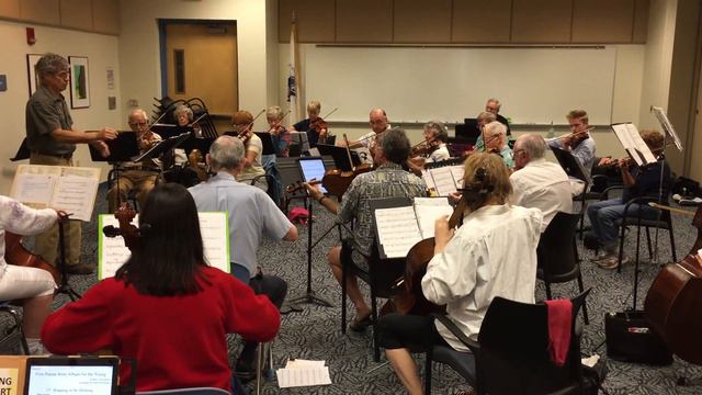 Venice Community Orchestra - Schumann - Roaming In The Morning 3 31 18 смотреть онлайн